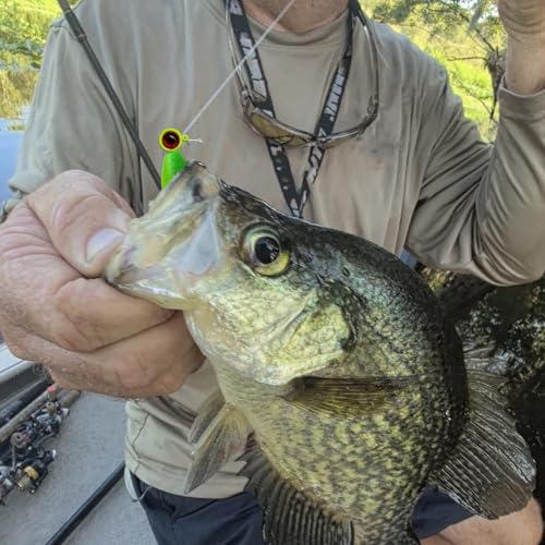 Crappie Lures Kit - Soft Plastic Lures for Trout, Bass, Panfish & Bluegill - 24 Packs - color: Green-yellow-red