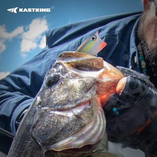 KastKing Superpower Braided Fishing Line and Lure Kit, 4X Braid Line with Hard & Soft Baits, Topwater, Jigs, Rigs&Jerkbaits, Complete Freshwater Fishing Gear Set for Bass,Trout & Walleye,Gift for Men - size: Line: 30 LB-200 Yds + Lure: Popper 1pc