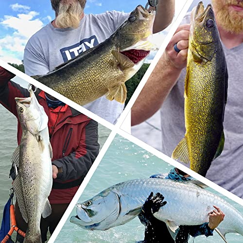 20PCS Fishing Leader Line,150LB High Strength Saltwater Fishing Stainless Steel Leaders with Swivel Snaps Connect Tackle Lure Rig and Hooks 19.7inch - color: Green - 20pcs
