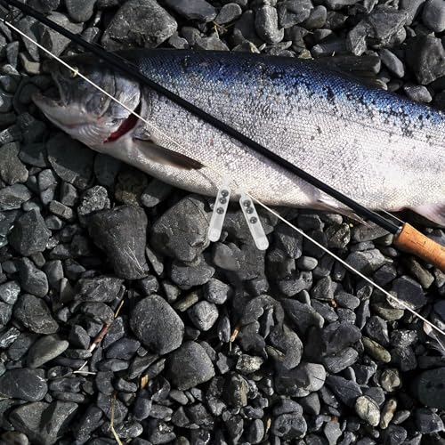 60pcs Fishing Rattle Beads and Metal Weights Kit, Iron Sinkers for Soft Bait Lure, Assorted Small, Medium, Large Sizes, Terminal Tackle Accessory for Freshwater and Saltwater