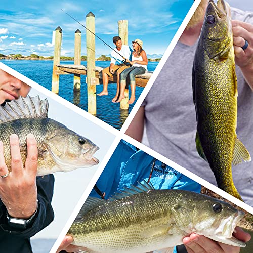 20PCS Fishing Leader Line,150LB High Strength Saltwater Fishing Stainless Steel Leaders with Swivel Snaps Connect Tackle Lure Rig and Hooks 19.7inch - color: Black - 20pcs