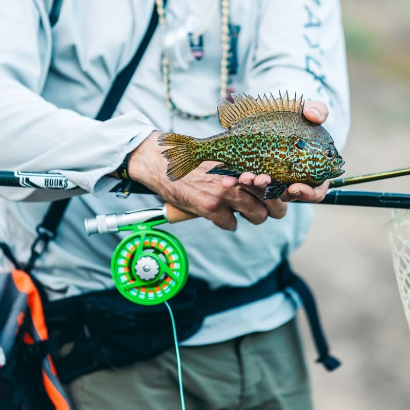 Maxcatch Tino Fly Fishing Reel, Large Arbor All Aluminum with CNC Cutting Trout Fly Reels, 3/4 5/6 7/8wt - color: Reel with Line Pre-loaded (Green), size: 3/4wt