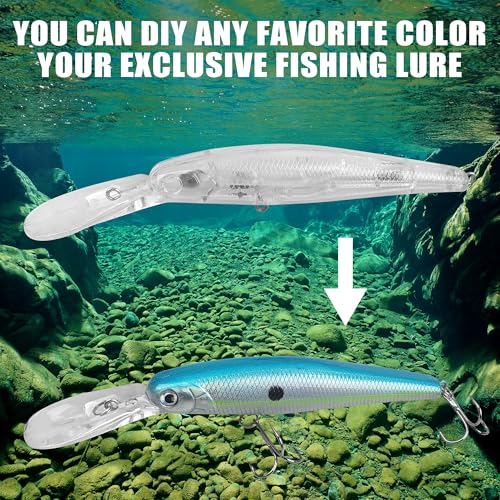 Blank Fishing Lure Kit,Unpainted Popper Plug Lures DIY Crank Bait Set Fishing Pliers Treble Hooks 3D/4D Lure Eyes Bait Sticker Split Rings,Fish Tackle Accessories Kits - color: Lure Kit-12pcs
