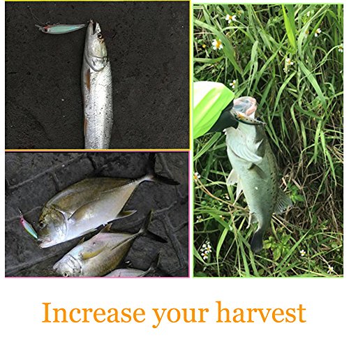Minnow Fishing Lures Crankbaits Set Fishing Hard Baits Life-Like Swimbait Hard Fishing Topwater Lure Bass Bait for Trout Bass Perch Fishing - color: 5PCS