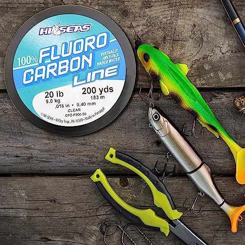 Hi-Seas 100% Fluorocarbon Fishing Line Clear - Strong & Tough Fishing Leader Line, Sinks Faster Than Monofilament Fishing Line. Available in 6lb, 8lb, 10lb, 12lb, 15lb, 20lb, 25lb Test - style: 10 Pound Test, 200 Yard