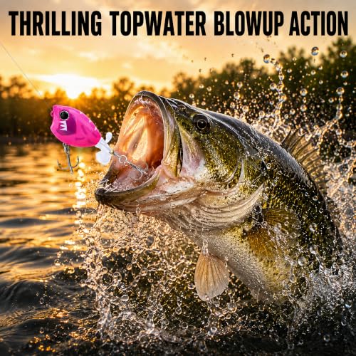 Top Water Lures, Floating Plopper Bait with BKK Hooks – Bass Fishing Lures for Trout, Pike & Other Freshwater & Saltwater Species – Great Fishing Gifts for Men - color: B1-3PCS,2.28in,0.39oz
