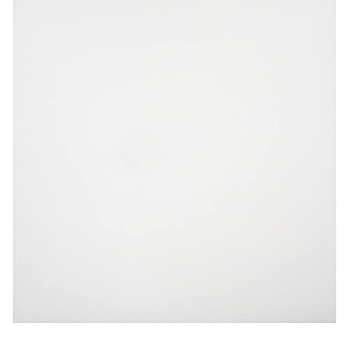 Atlas Spawn Nets Parent - color: White, size: 3" Squares