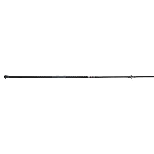 Penn Squadron IV Surf Spinning Rod - size: 10' - Medium Heavy - 15-30lb - 2pc, style: Squadron IV