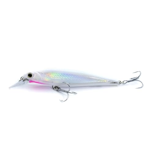 LOGOFUN 2Pcs Fishing Lures Top Water and Deep Sea Bass Fishing Lure for Freshwater and Saltwater Swim Bait 3D Holographic Laser Floating Lure Angling Fishing Gear, 4.7 Inch, 0.8 oz, SW-120F - color: #PW & #AH