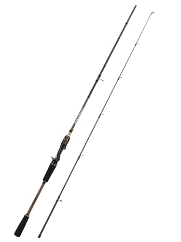Jenseits Carbon Fiber Fishing Rod Series (6-12 Ft), Spinning & Casting Rods with Stainless Steel Ceramic Guides, Fast Action Fishing Pole for Bass, Trout, Walleye & Surf Fishing - size: 6'0"-Medium Light-Fast-Black