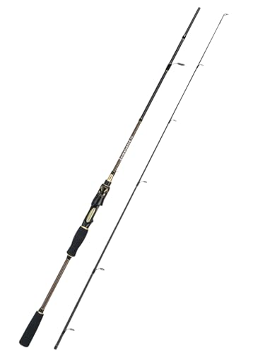 Jenseits Carbon Fiber Fishing Rod Series (6-12 Ft), Spinning & Casting Rods with Stainless Steel Ceramic Guides, Fast Action Fishing Pole for Bass, Trout, Walleye & Surf Fishing - size: 6'6"-Medium-Fast-Black, style: Spinning