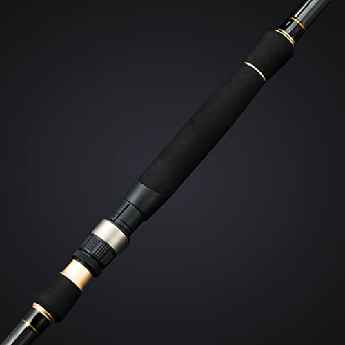 BERRYPRO Light Surf Spinning Rod Striper Fishing Rod Striped Bass surf Rod (9'/9'6''/10'6''/11'/12') - style: 12' - 2pc