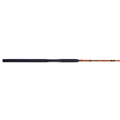 Ugly Stik Catfish Special Casting Fishing Rod - size: 10' - Medium Heavy - 15-40lb - 2pc