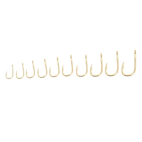 500Pcs Fishing Hooks Set – High Carbon Steel Sharpened Barbed Circle Hooks in Assorted Sizes 3 to 12 for Freshwater and Saltwater Fishing - size: 2#-with Holes