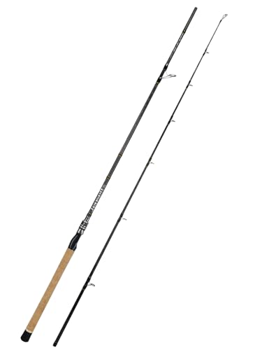 Jenseits Carbon Fiber Fishing Rod Series (6-12 Ft), Spinning & Casting Rods with Stainless Steel Ceramic Guides, Fast Action Fishing Pole for Bass, Trout, Walleye & Surf Fishing - size: 8'0"-Heavy-Fast-Black, style: Spinning