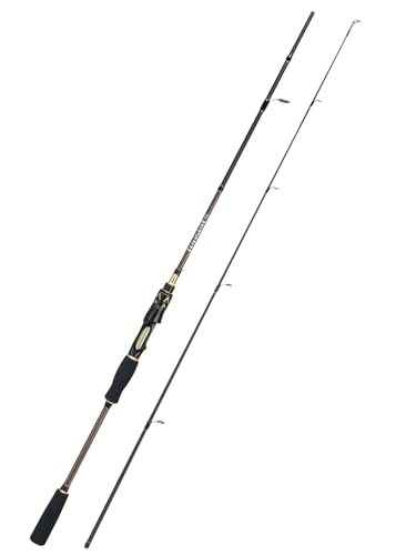 Jenseits Carbon Fiber Fishing Rod Series (6-12 Ft), Spinning & Casting Rods with Stainless Steel Ceramic Guides, Fast Action Fishing Pole for Bass, Trout, Walleye & Surf Fishing - size: 6'0"-Medium-Fast-Black, style: Spinning