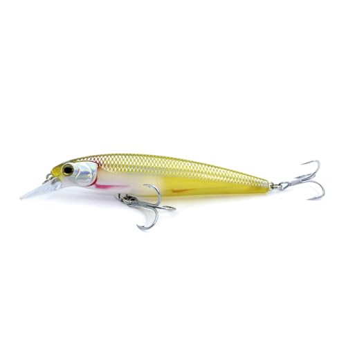 LOGOFUN 2Pcs Fishing Lures Top Water and Deep Sea Bass Fishing Lure for Freshwater and Saltwater Swim Bait 3D Holographic Laser Floating Lure Angling Fishing Gear, 4.7 Inch, 0.8 oz, SW-120F - color: #YS & #SD