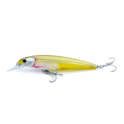 LOGOFUN 2Pcs Fishing Lures Top Water and Deep Sea Bass Fishing Lure for Freshwater and Saltwater Swim Bait 3D Holographic Laser Floating Lure Angling Fishing Gear, 4.7 Inch, 0.8 oz, SW-120F - color: #YS & #SD