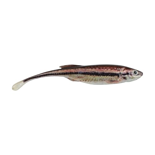 Berkley PowerBait Drip Minnow Fishing Soft Bait - color: HD Blacknose Shiner, size: 3"
