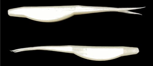 Phat Pak Baits - Drunkin Shad Zoom Super Fluke Style Soft Jerkbait 5" 20ct Soft Plastic Bass Fishing Lure - color: Pearl/White Shad