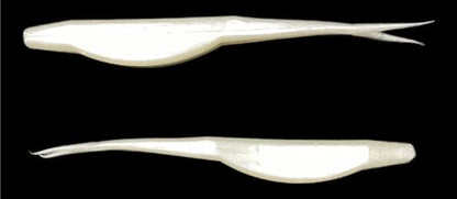 Phat Pak Baits - Drunkin Shad Zoom Super Fluke Style Soft Jerkbait 5" 20ct Soft Plastic Bass Fishing Lure - color: Pearl/White Shad