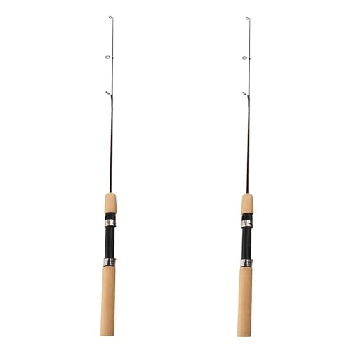 2Pcs LCE Fishing Rod, Fishing Rods Ice Fishing Rods Pen Pole Lures Fishing Tackle Spinning Casting Hard Rod Without Reel Useful and Practical Fishing Rod and Reel Combos Hunting and Fishing (75cm)