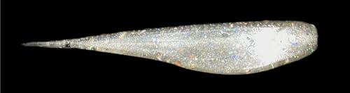 Phat Pak Baits - Micro Drunkin Shad Tiny Fluke Style LiveScope FFS Soft Jerkbait 2.5" 30ct Soft Plastic BFS Bass Fishing Lure - color: Hologram Shad