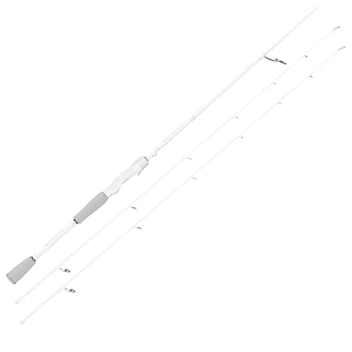 KastKing Centron Lite Twin Tip Rods, IM6 Graphite Blanks, Twin Tip Rods, Stainless Steel Guides with Ceramic Rings, Split or Full Rear EVA Handle Design, Drop Shot Hook Keeper - size: 6'6"- M- MF (2 Pcs+ Extra Tip), style: Spinning