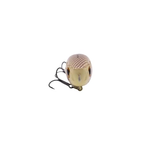 Duckett Fishing Super Sound 110 Topwater, High-Impact Walking Lure for Attracting Aggressive Bass Strikes - color: Bone, size: 110 mm
