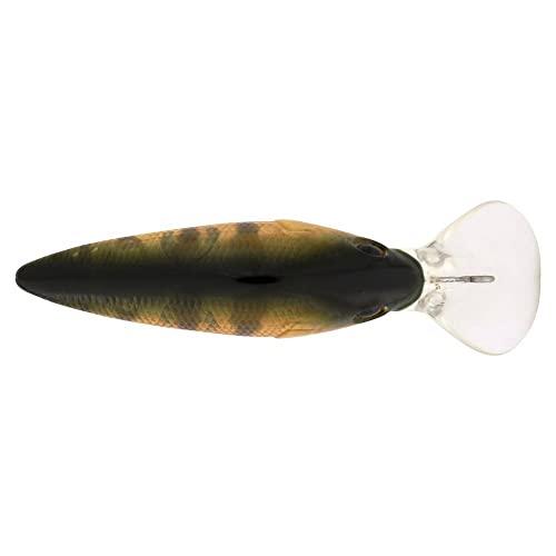 Berkley Money Badger Fishing Hard Bait - color: Perch, size: 1 1/2in - 3/16 oz