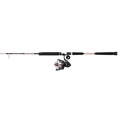 Penn Passion II Spinning Reel and Fishing Rod Combo - size: 6000 Size Reel - 6'6" - Medium Heavy - 1pc