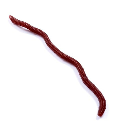 1 Pack Fishing Lures Soft Worm Bait Lifelike Bass Trout Freshwater Saltwater Artificial Lure Fishing Tackle Kit - color: Red, size: 1.6 inch
