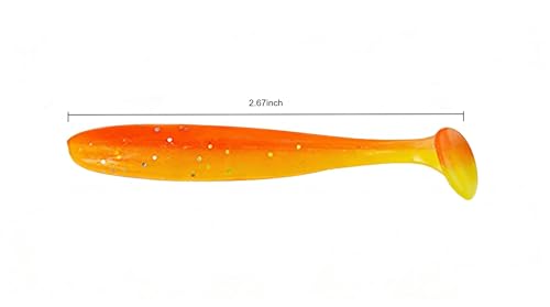 Soft Plastic Swimbaits – Paddle Tail Lures Kit with Box 50Pcs | Swim Baits for Bass, Crappie, Trout & Shad, Freshwater & Saltwater Soft Lures, Paddle Tail Swimbaits for Bass Fishing Kit