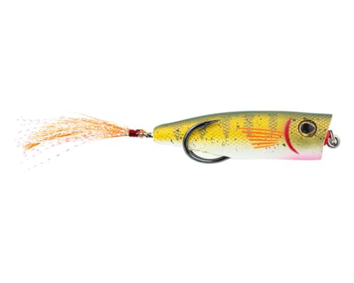 Zoo Pop - color: Bull Bream