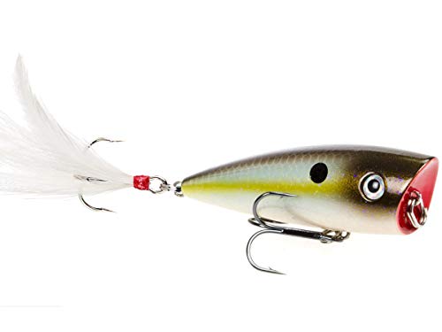 Strike King Junior KVD Splash Hardbait Series Bait - color: Summer Sexy Shad, size: 0.05