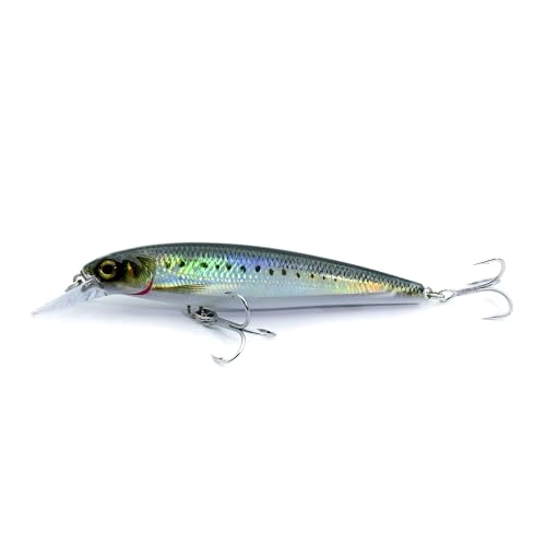 LOGOFUN 2Pcs Fishing Lures Top Water and Deep Sea Bass Fishing Lure for Freshwater and Saltwater Swim Bait 3D Holographic Laser Floating Lure Angling Fishing Gear, 4.7 Inch, 0.8 oz, SW-120F - color: #YS & #SD