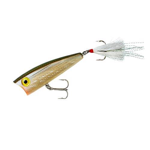 Rebel Lures Pop-R Topwater Popper Fishing Lure - color: Tennessee Shad, style: Pop-r (1/4 Oz)
