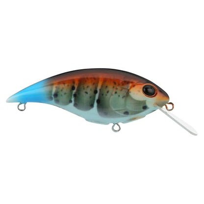 Berkley Shallow Money Badger Fishing Hard Bait - color: Killer Craw, size: 2 1/2 in - 1/3 oz