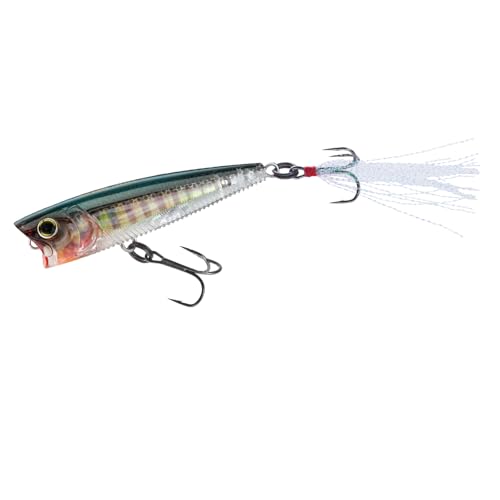 Yo-Zuri 3DB Popper, Floating, 3 Inch, 75mm, Gizzard Shad - color: Real Bluegill