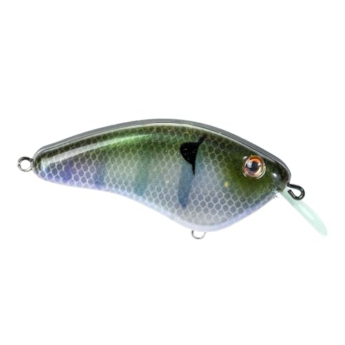 Strike King Hardliner Fishing Lure, Flat Sided Crankbait, Circuit Board Lip, Extra Tight Wobble, Size 4 Treble Hooks - color: The Real Gill