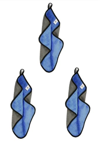 Toasis Soft Microfiber Towels with Carabiner Clip for Fishing Hiking Camping Pack of 3 (Blue) - color: Blue