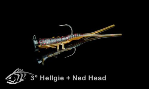 Lunker City Fishing Ned Head Ned Rig Jig Heads Weighted UltraPoint 2/0 3/0 Hook 1/16oz 1/8oz 3/16oz 1/4oz 3/8oz 1/2oz Finesse Fishing LunkerGrip for Soft Plastic Bass Lures, Made in The USA - color: Chartreuse, size: 3/16oz