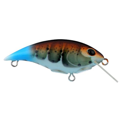 Berkley Shallow Money Badger Fishing Hard Bait - color: Killer Craw, size: 1 1/2 in - 3/16 oz