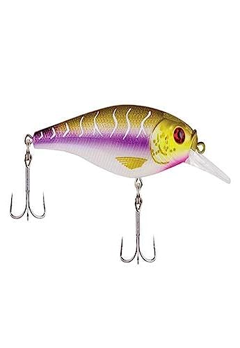 Berkley Flicker Shad Shallow - color: Purple Tiger, size: 2/7 oz, 2 3/4"