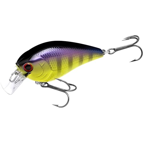 LUCKY CRAFT LC 1.5 Silent Squarebill Crankbait Fishing Lure, 2-3/8", Bass Fishing Lures for Freshwater, Hard Crankbait with Treble Fishing Hooks, Fishing Accessories - color: 136 TO Gill