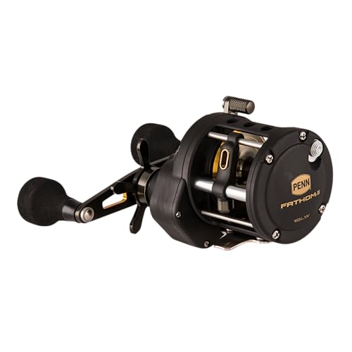Fathom II Level Wind-Multirolle – Salzwasser-Angelrolle für Boots-, Küsten- und Kajakangeln - size: 15