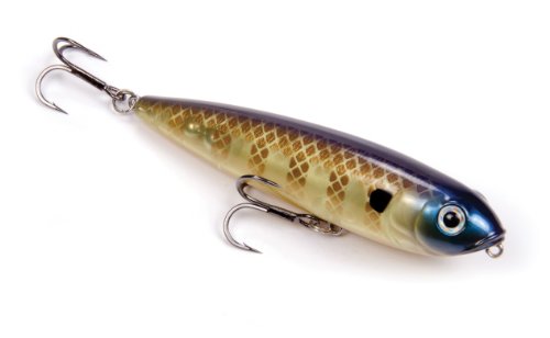 Strike King KVD Sexy Dawg - color: Bluegill
