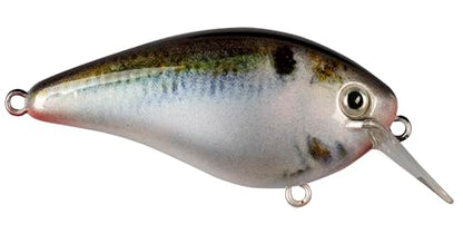 Strike King KVD 1.5 Hard Knock Fishing Lure, 3/8 oz, 3D Lifelike Eyes - color: Natural Shad, size: 3/8oz