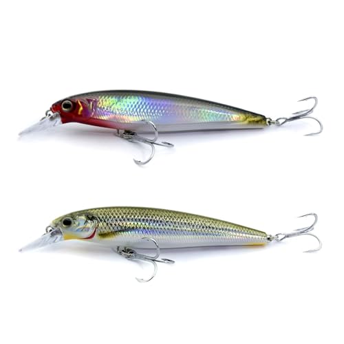 LOGOFUN 2Pcs Fishing Lures Top Water and Deep Sea Bass Fishing Lure for Freshwater and Saltwater Swim Bait 3D Holographic Laser Floating Lure Angling Fishing Gear, 4.7 Inch, 0.8 oz, SW-120F - color: #RB & #KS