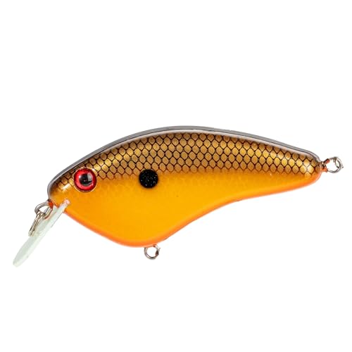 Strike King Hardliner Fishing Lure, Flat Sided Crankbait, Circuit Board Lip, Extra Tight Wobble, Size 4 Treble Hooks - color: Baby Carp